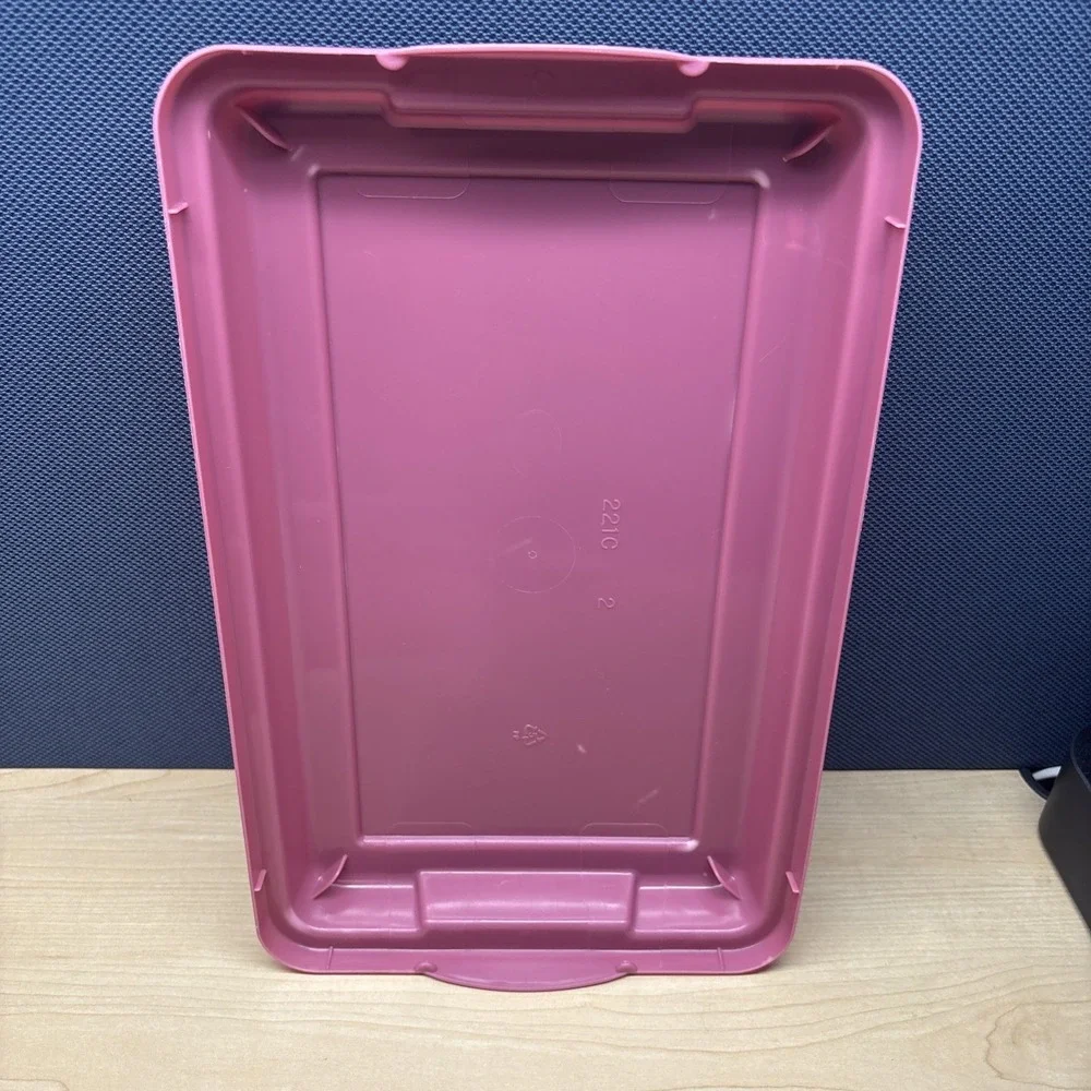 Rubbermaid Vintage Pink Clear Leaves Snap Storage Container Box Rectangle